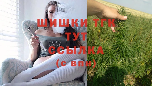 прущие грибы Заволжск