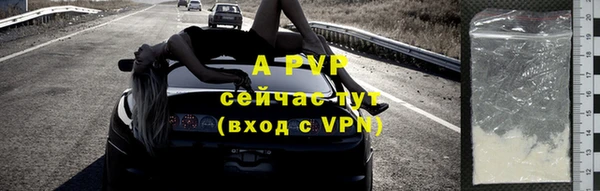 прущие грибы Заволжск