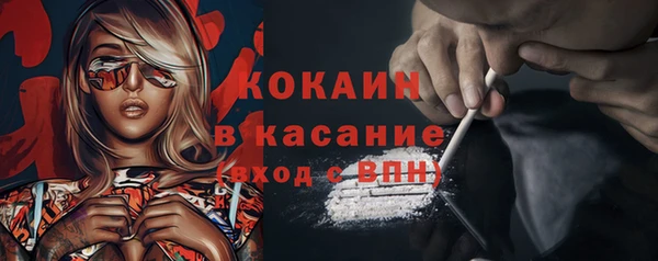 гидра Заводоуковск