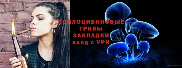 гидра Заводоуковск