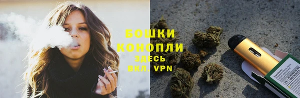 гидра Заводоуковск