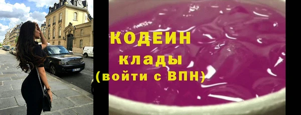 гидра Заводоуковск