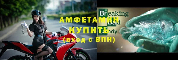 прущие грибы Заволжск
