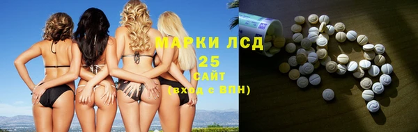 прущие грибы Заволжск