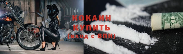ГАЛЛЮЦИНОГЕННЫЕ ГРИБЫ Заволжье