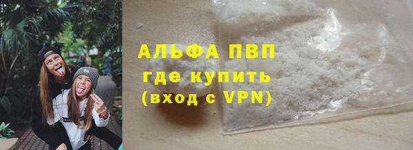 ГАЛЛЮЦИНОГЕННЫЕ ГРИБЫ Заволжье
