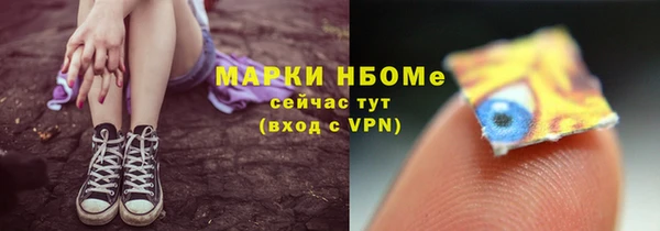 гидра Заводоуковск