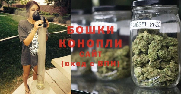 ГАЛЛЮЦИНОГЕННЫЕ ГРИБЫ Заволжье