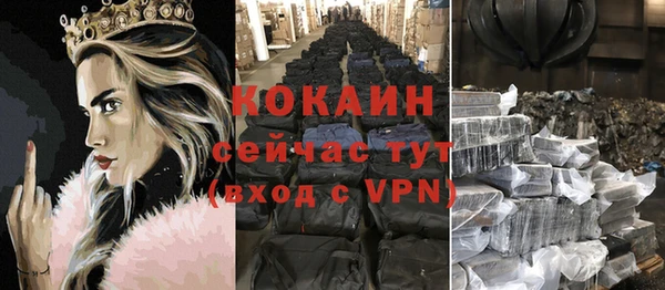 ГАЛЛЮЦИНОГЕННЫЕ ГРИБЫ Заволжье