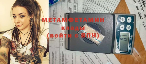 прущие грибы Заволжск