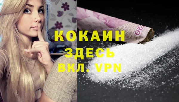 ГАЛЛЮЦИНОГЕННЫЕ ГРИБЫ Заволжье