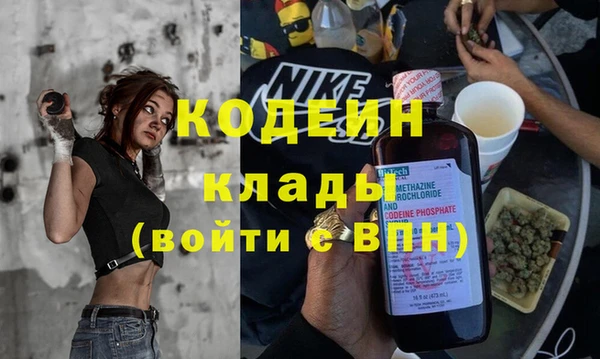 гидра Заводоуковск