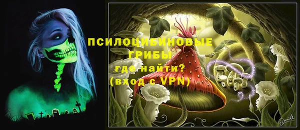 ГАЛЛЮЦИНОГЕННЫЕ ГРИБЫ Заволжье