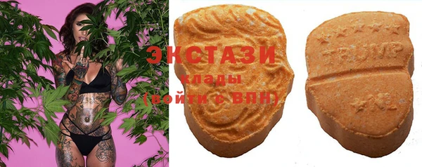 гидра Заводоуковск