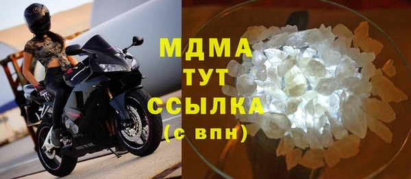 прущие грибы Заволжск